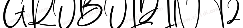 GROBOLDINT2 Regular字体转换